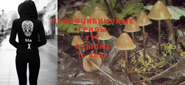 jwh Мегион