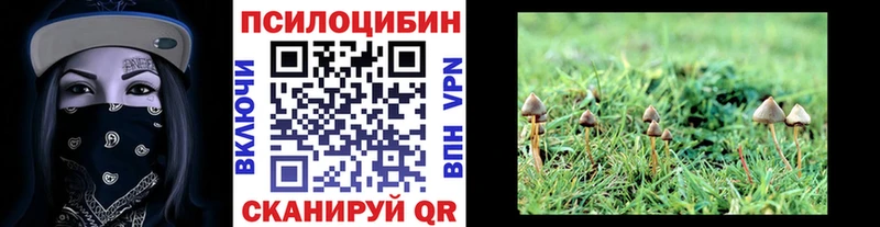 Псилоцибиновые грибы прущие грибы  Купить закладки  Советская Гавань 